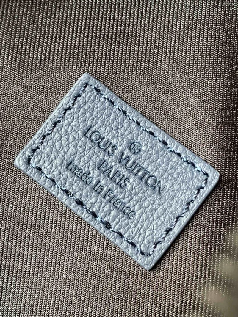 Versatile Louis Vuitton Waist Chest Packs 42132