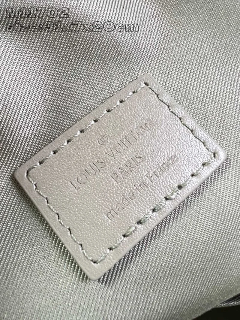Louis Vuitton Waist Chest Packs Fashionable 49196