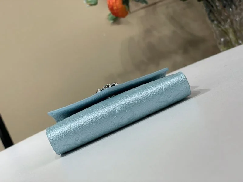 Louis Vuitton Wallets Purse EasyCare 40928