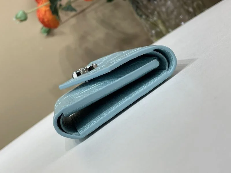 Louis Vuitton Wallets Purse EasyCare 40928