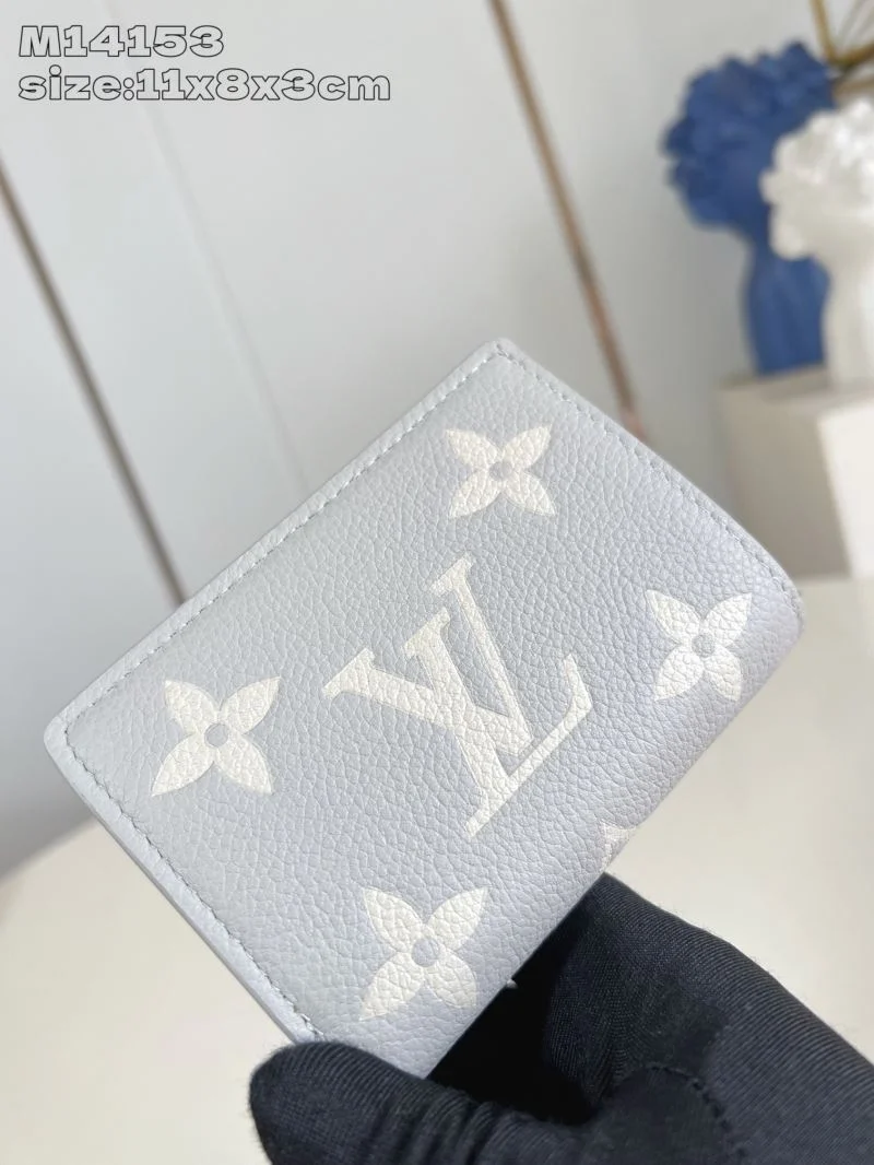Louis Vuitton Wallets Purse GoAnywhere 40235