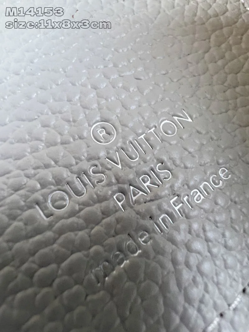 Louis Vuitton Wallets Purse GoAnywhere 40235