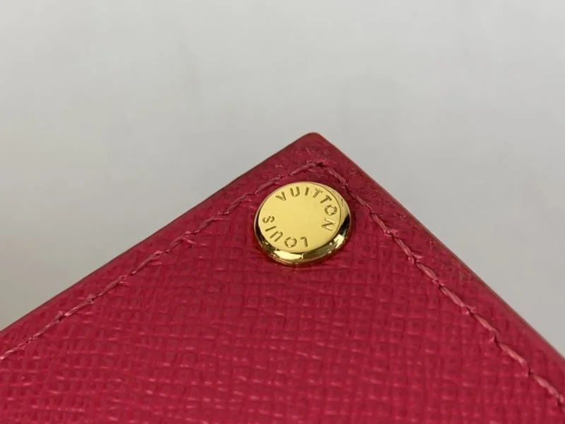 GoAnywhere Louis Vuitton Wallets Purse 40228