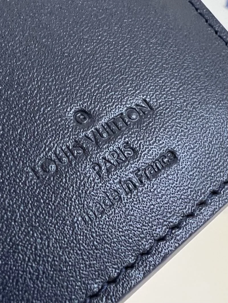 ModernLook Louis Vuitton Wallets Purse 40205