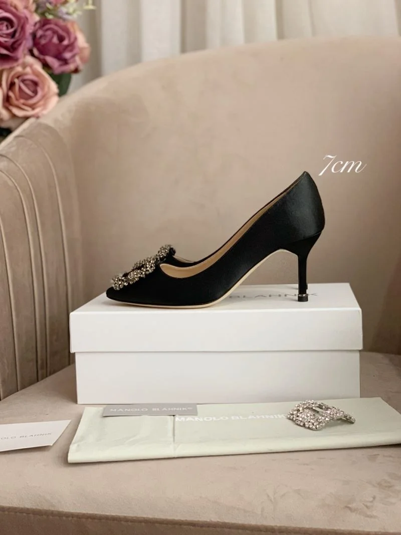 WrinkleFree Manolo Blahnik Shoes 9661
