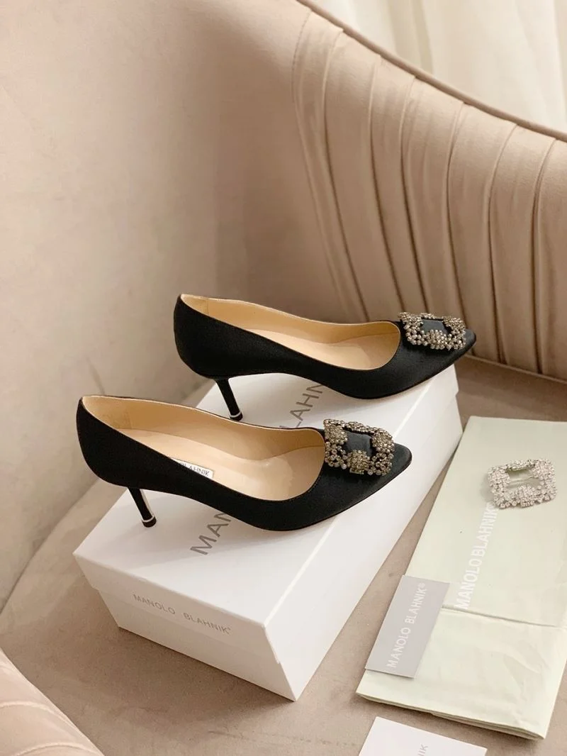 WrinkleFree Manolo Blahnik Shoes 9661