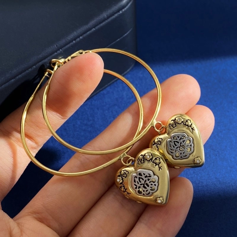 Mcqueen Earrings Fashionable 207885