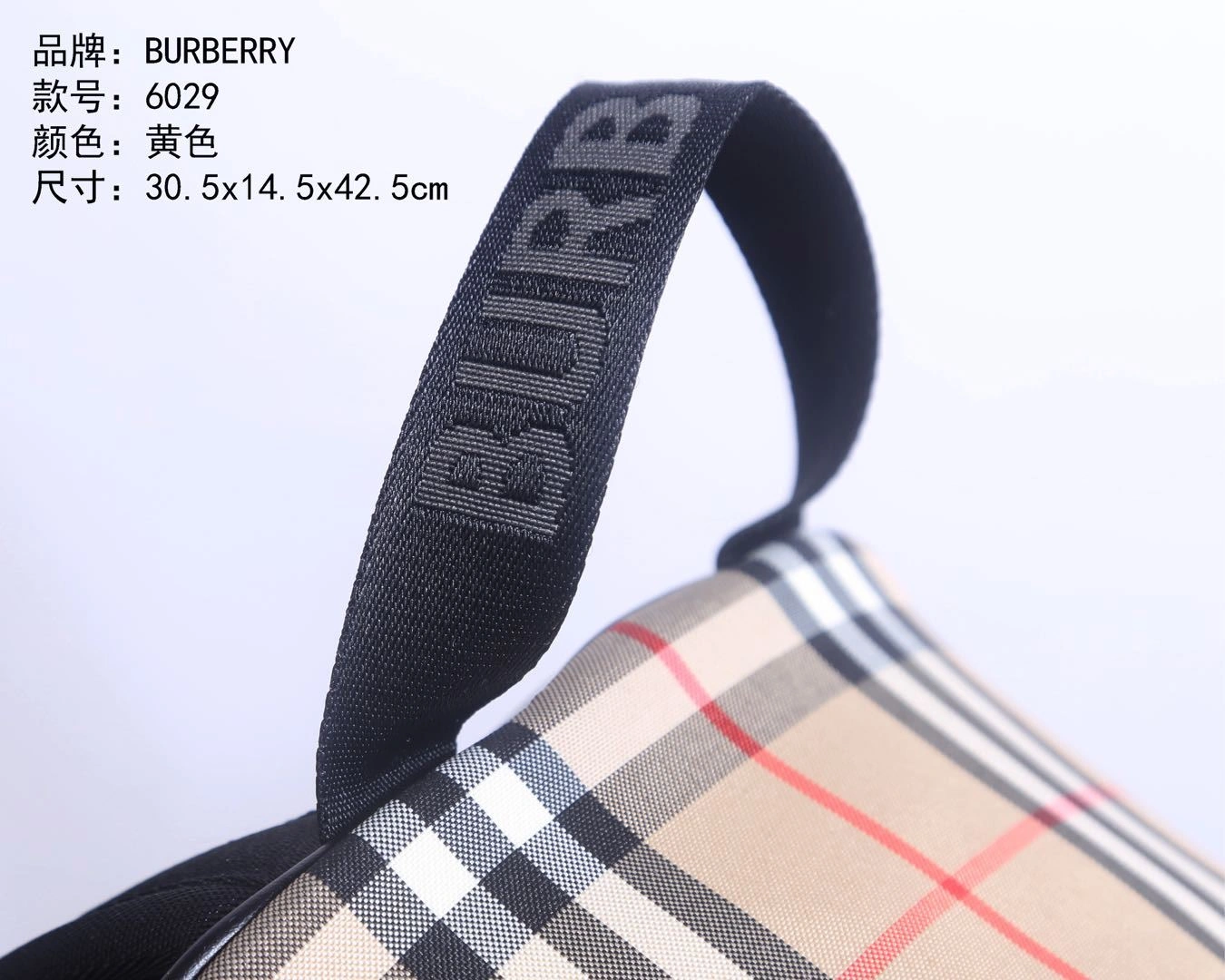 SmartChoice Mens Burberry Backpacks 93378