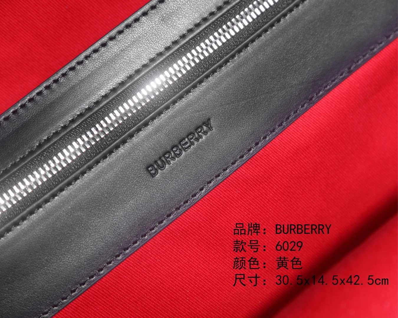 SmartChoice Mens Burberry Backpacks 93378