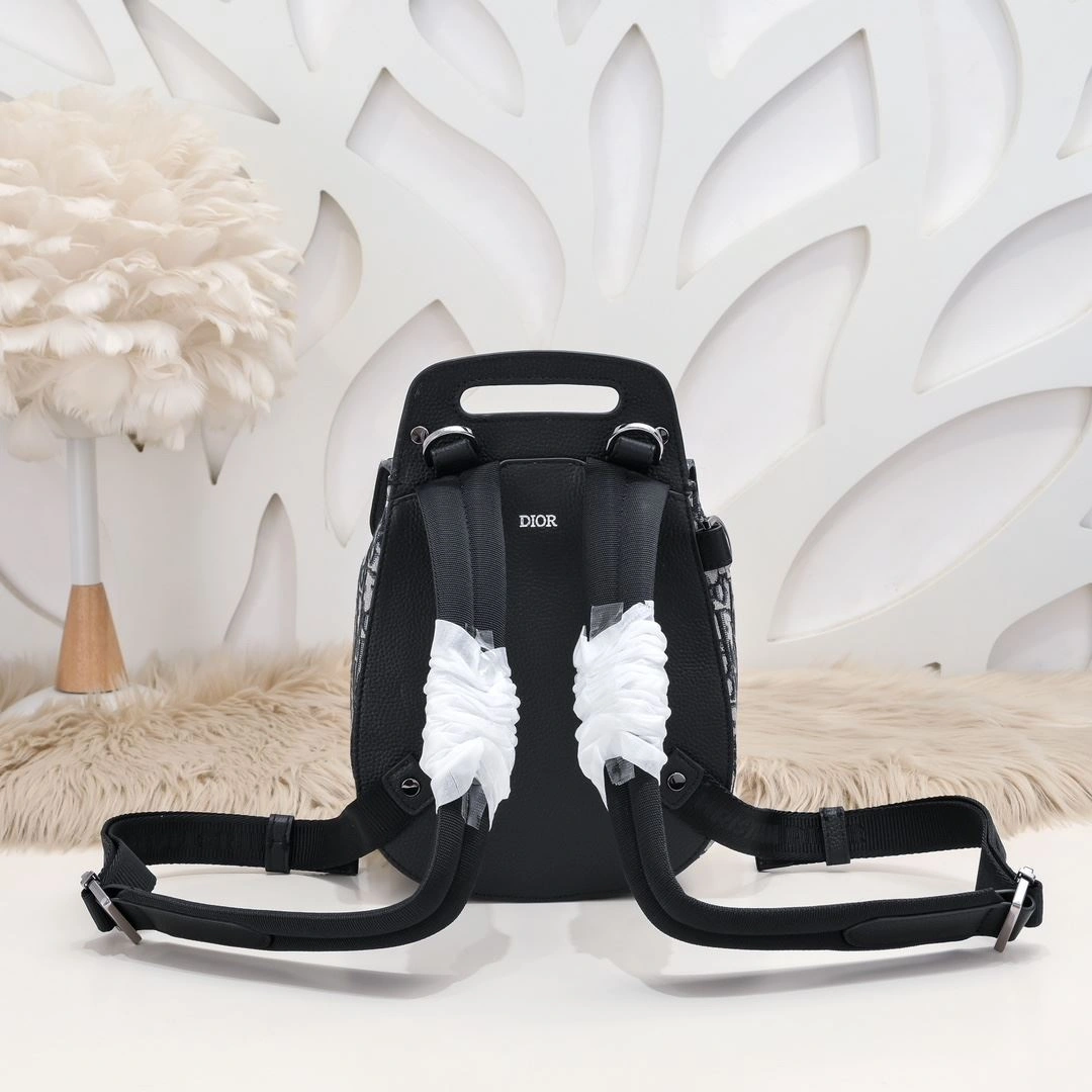 Functional Mens Christian Dior Backpacks 91194