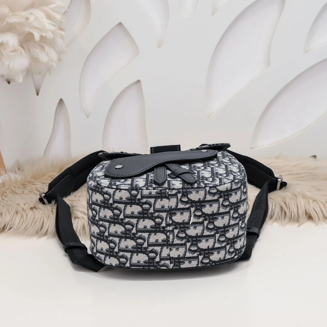Functional Mens Christian Dior Backpacks 91194