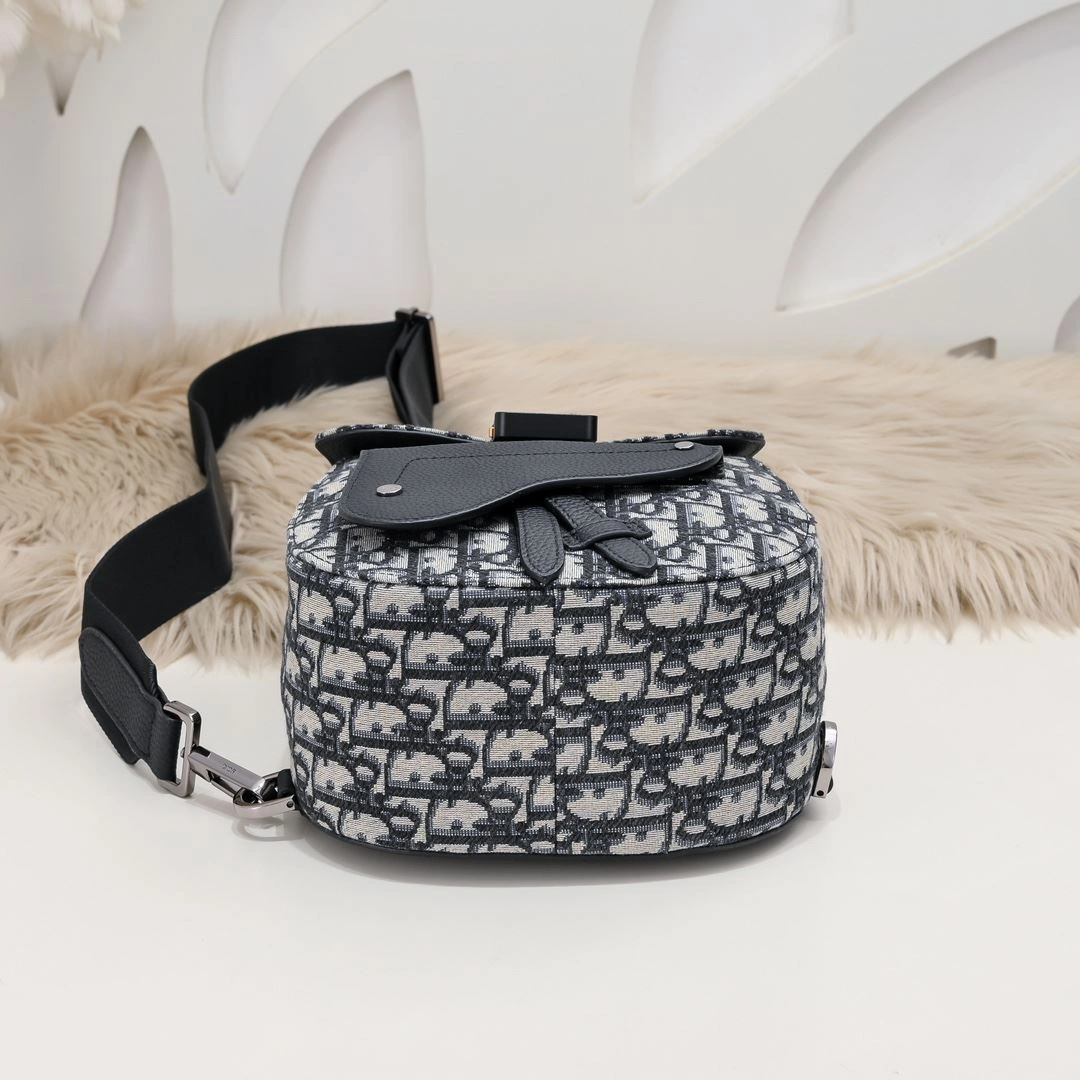 Comfortable Mens Christian Dior Backpacks 91146