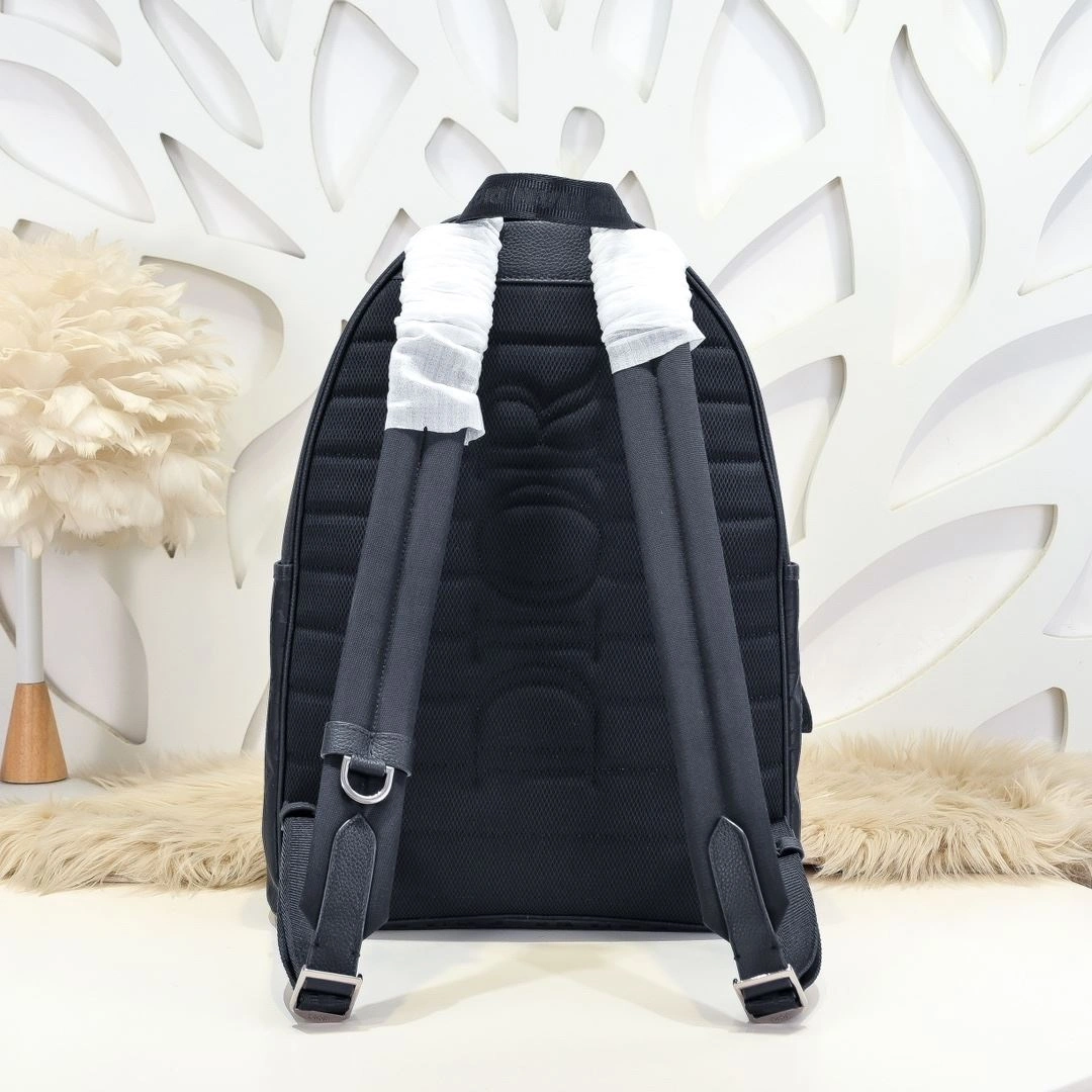 Stylish Mens Christian Dior Backpacks 91079