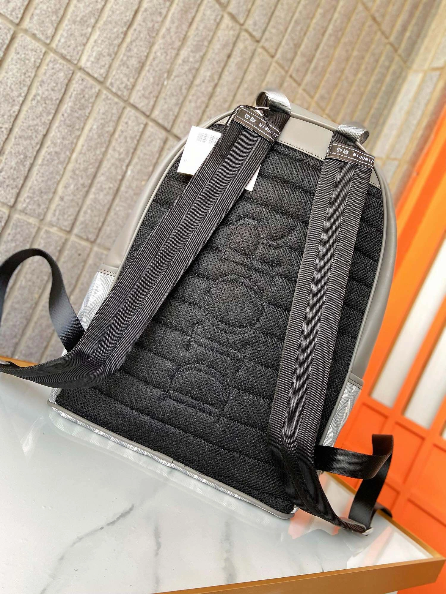 Mens Christian Dior Backpacks GoAnywhere 93294