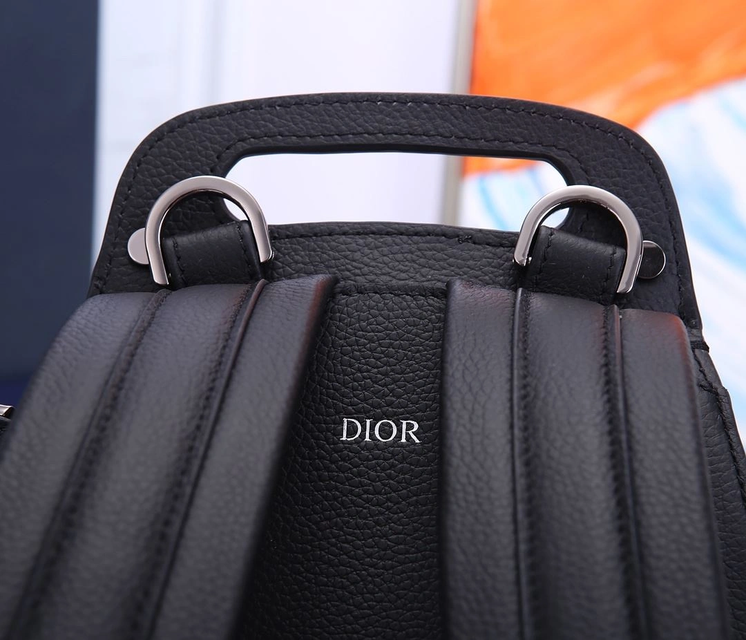Colorful Mens Christian Dior Backpacks 92132