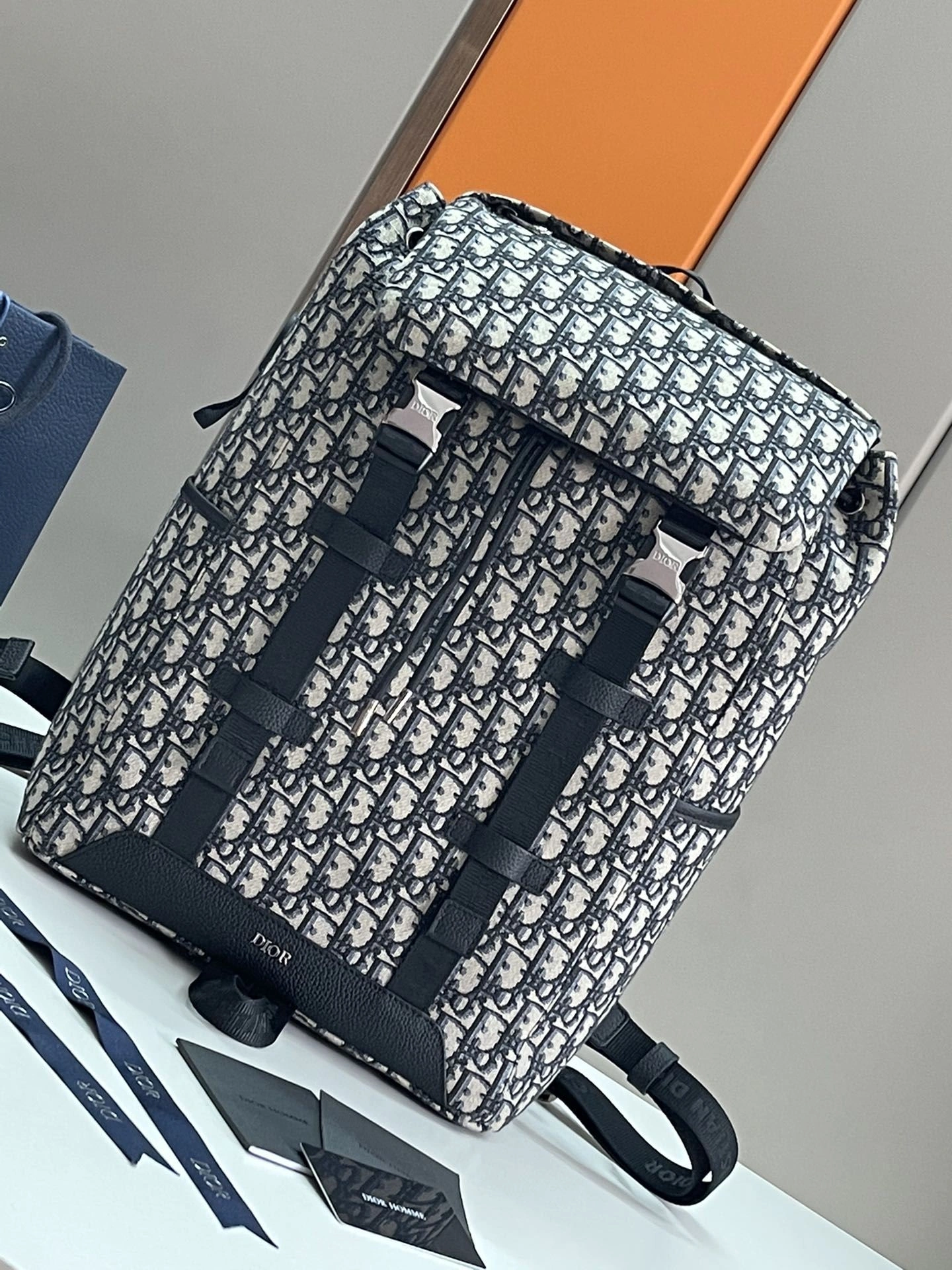 EyeCatching Mens Christian Dior Backpacks 92133