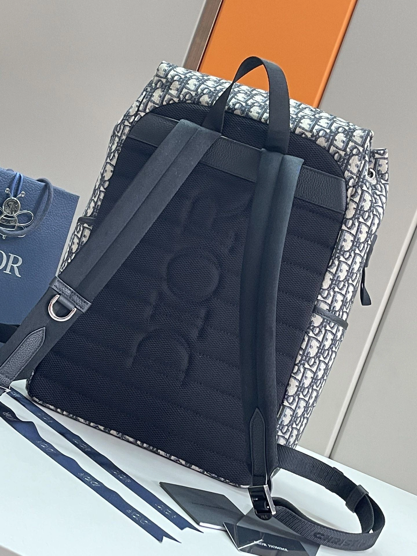 EyeCatching Mens Christian Dior Backpacks 92133