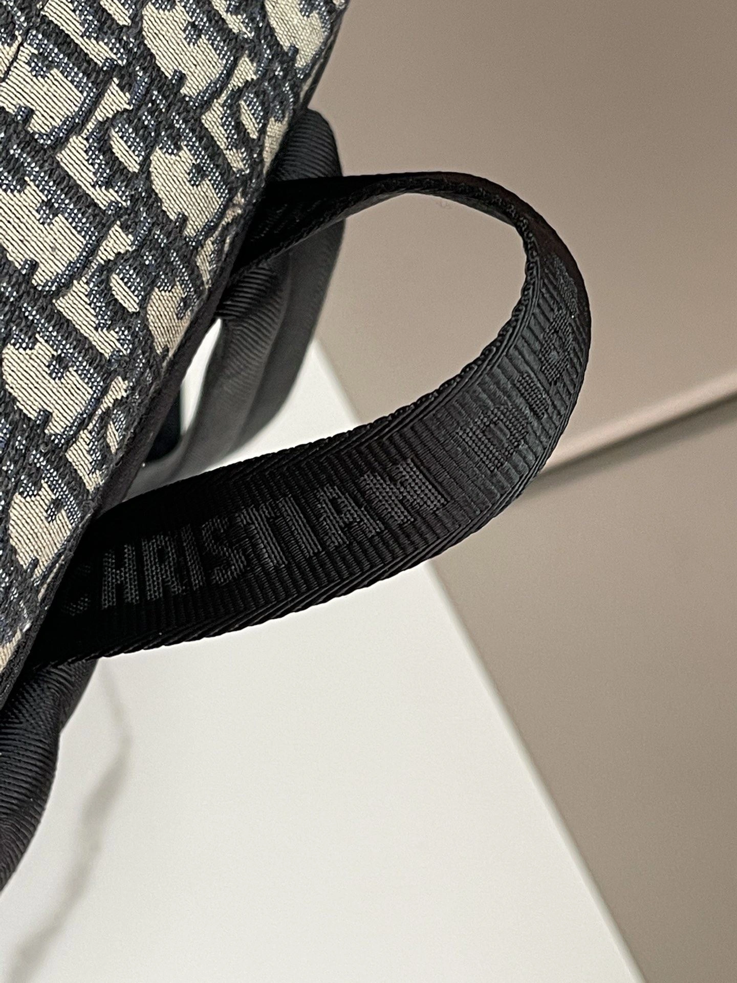 EyeCatching Mens Christian Dior Backpacks 92133