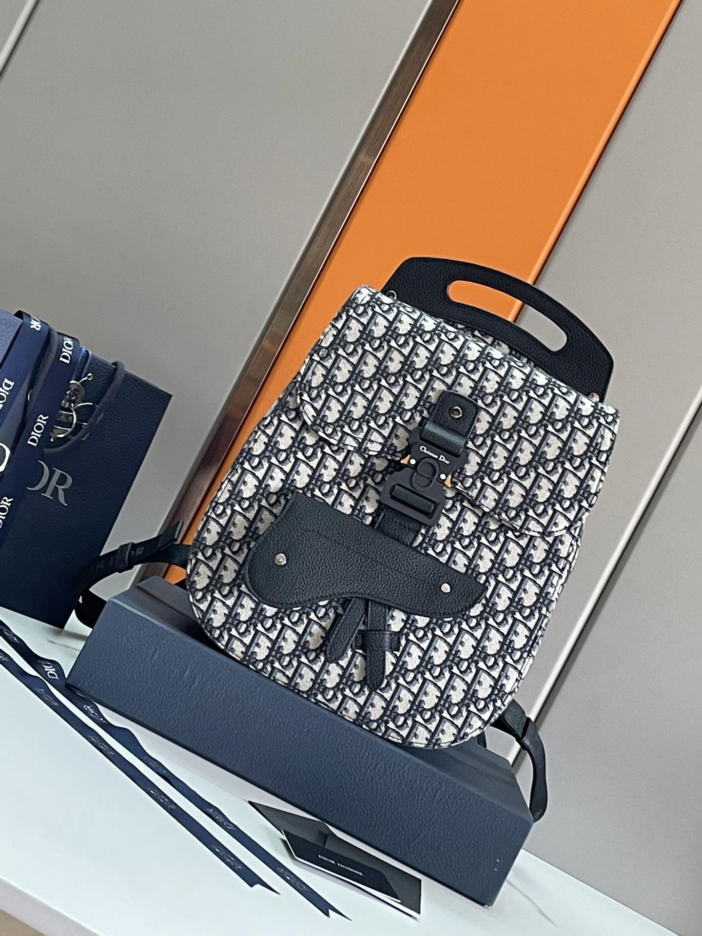 Mens Christian Dior Backpacks TimelessDesign 92128