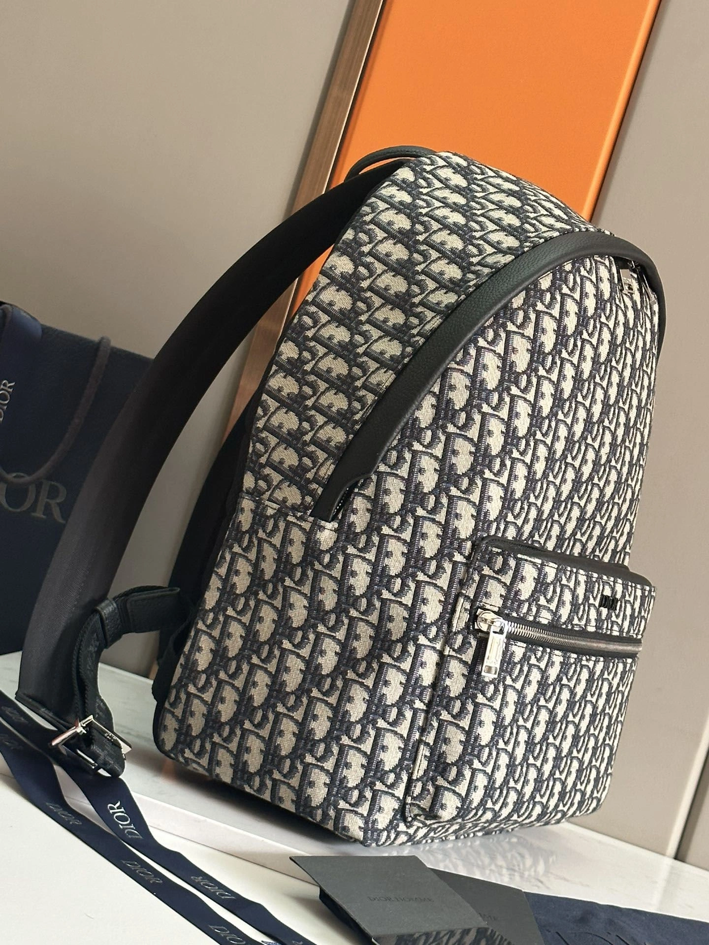 Mens Christian Dior Backpacks Colorful 92125