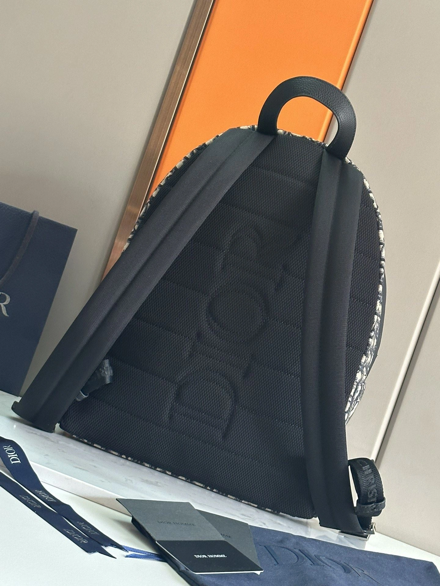 Mens Christian Dior Backpacks Colorful 92125