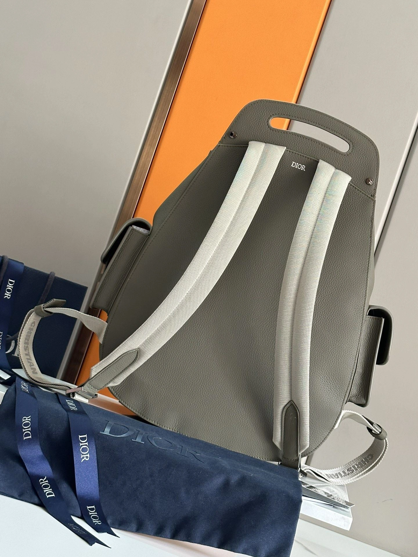 Vibrant Mens Christian Dior Backpacks 92121