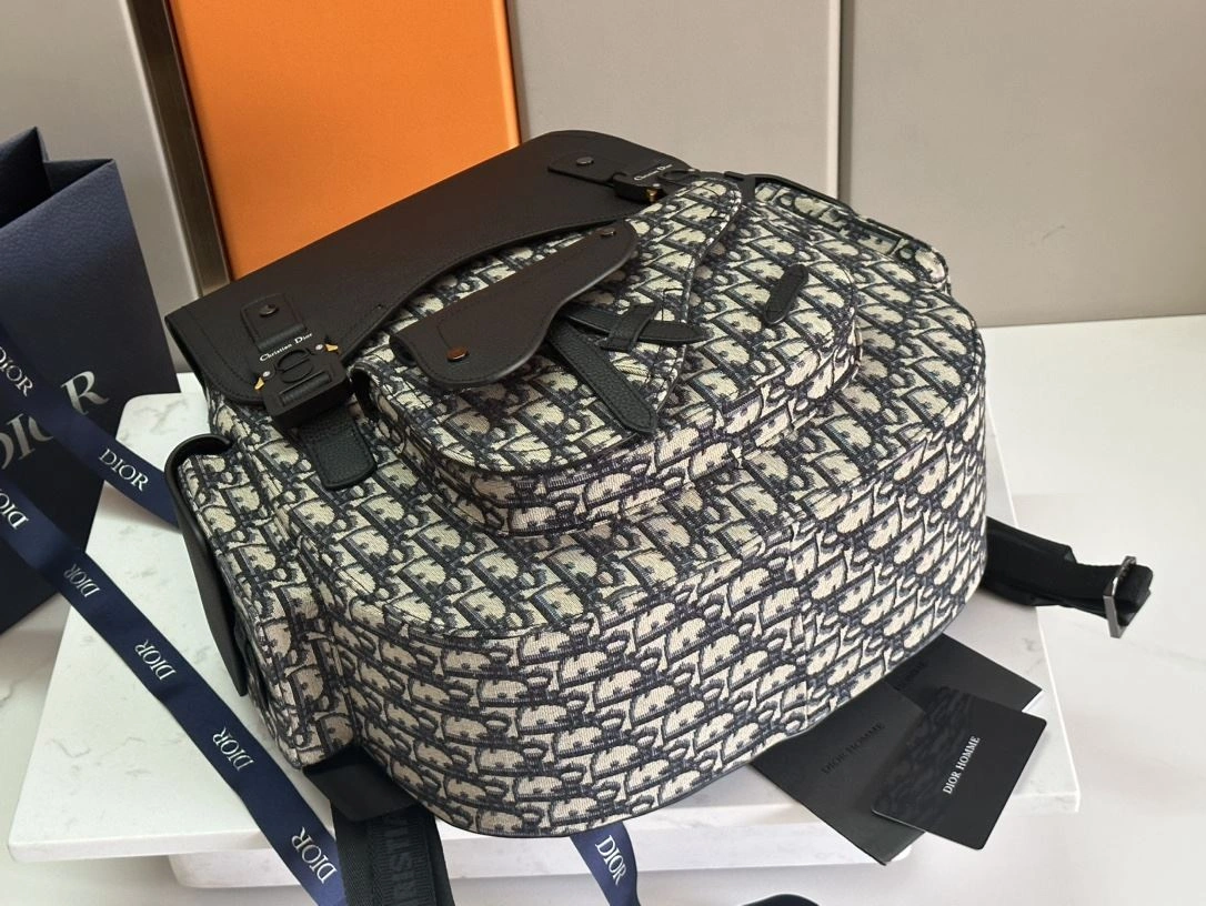 Mens Christian Dior Backpacks StreetReady 92118