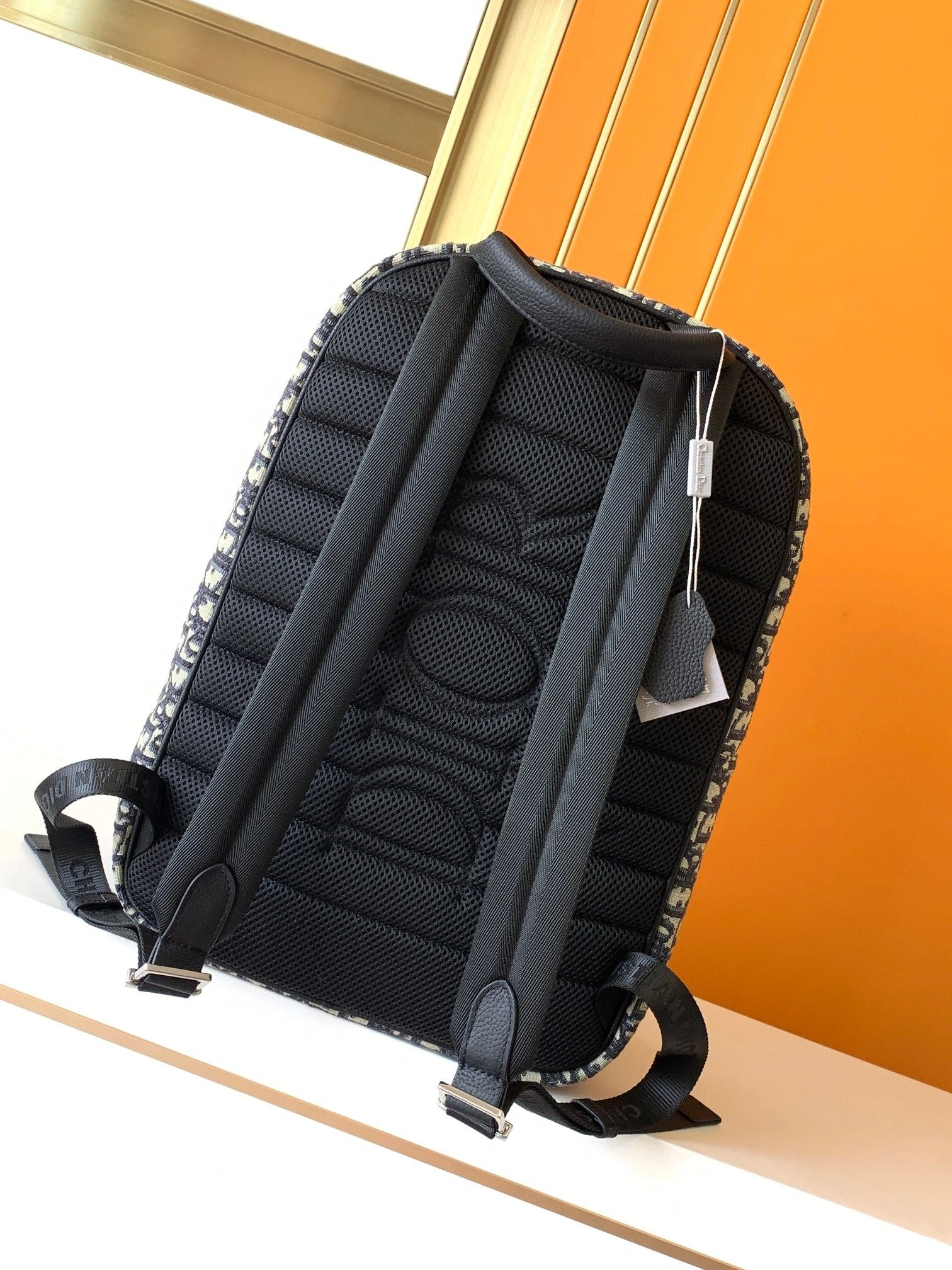 Mens Christian Dior Backpacks WellDesigned 92095
