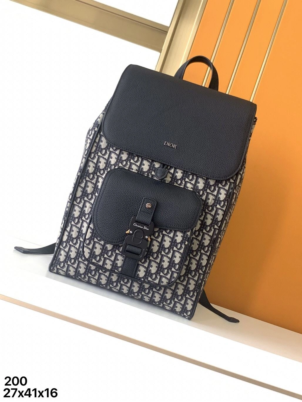 Breathable Mens Christian Dior Backpacks 92091