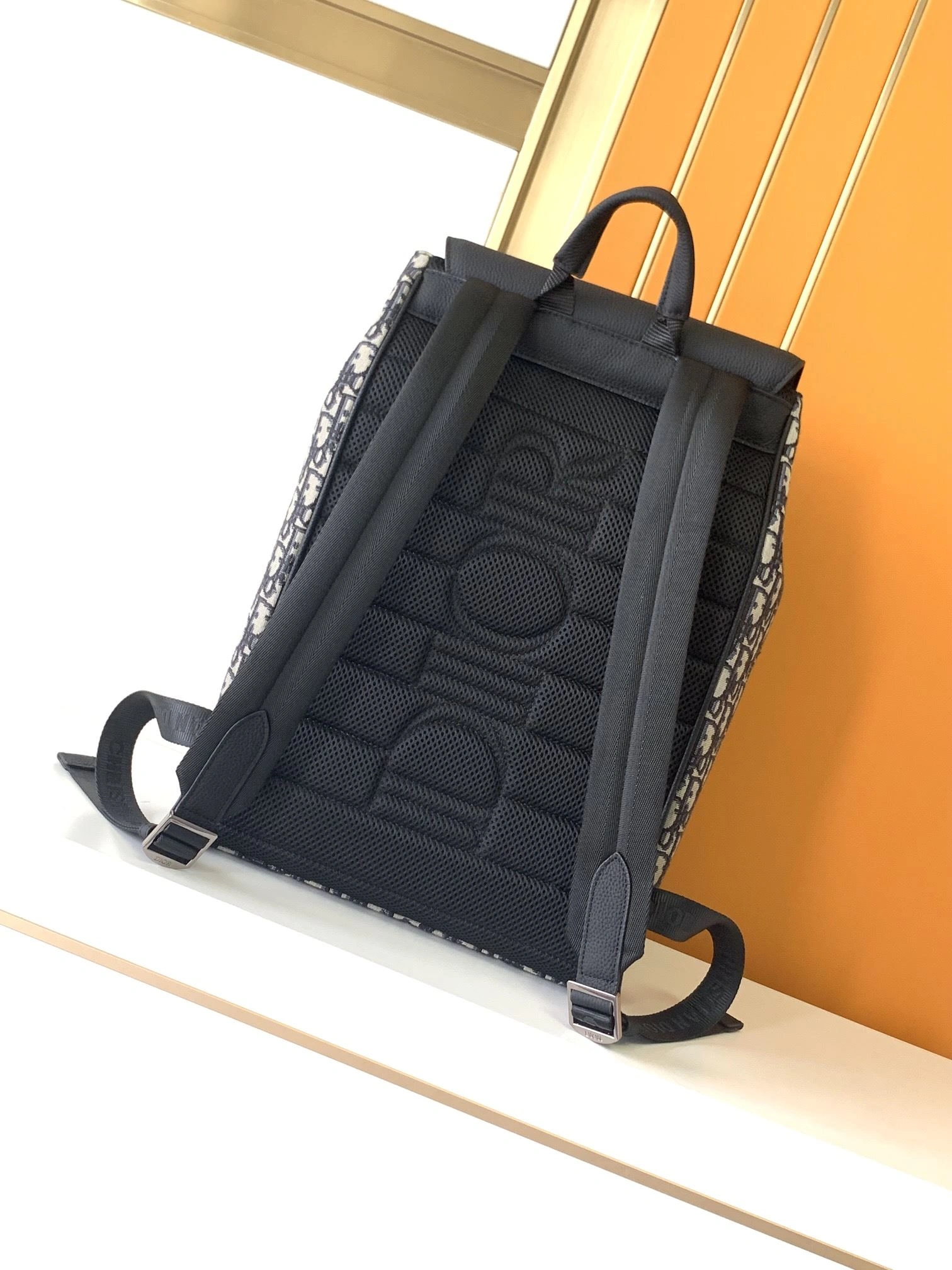 Breathable Mens Christian Dior Backpacks 92091