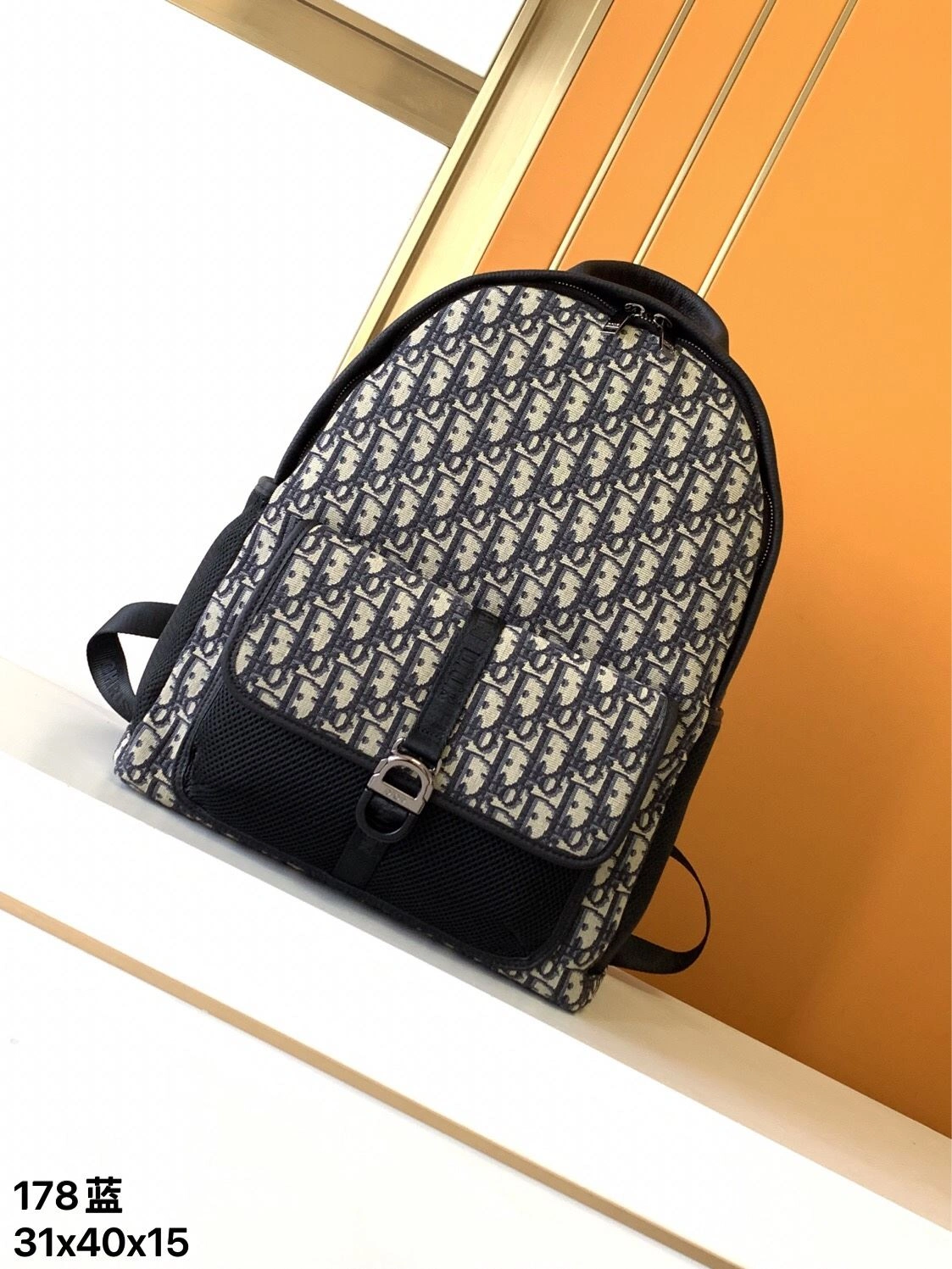Mens Christian Dior Backpacks Affordable 92083