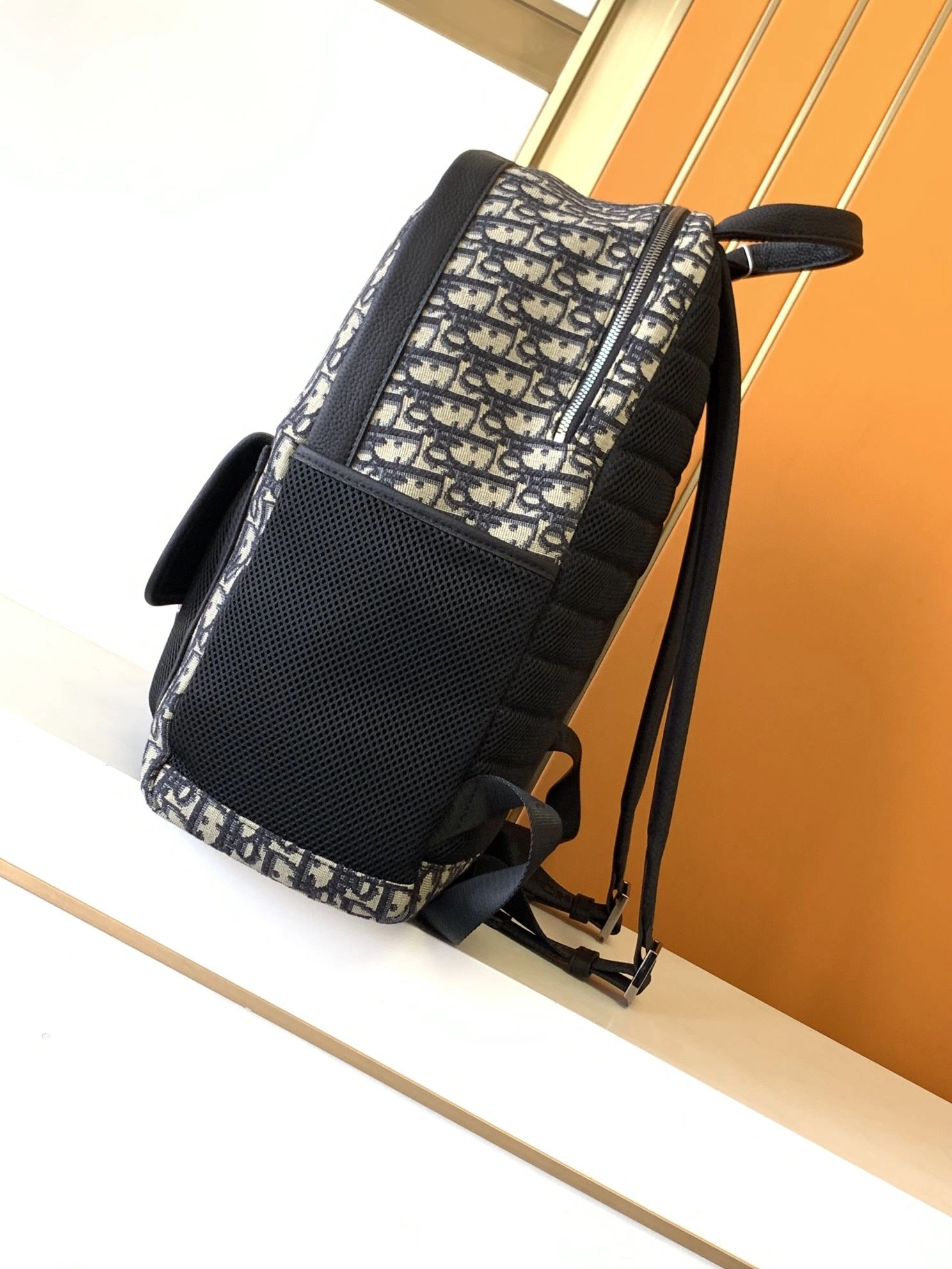 Mens Christian Dior Backpacks Affordable 92083