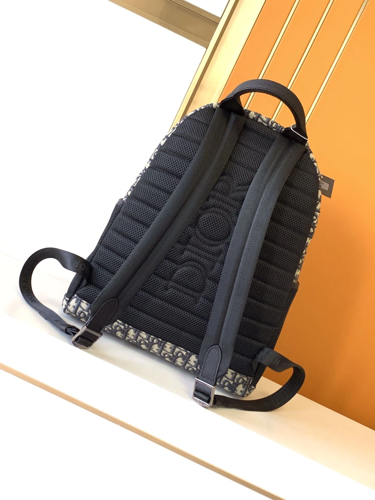 Mens Christian Dior Backpacks Affordable 92083