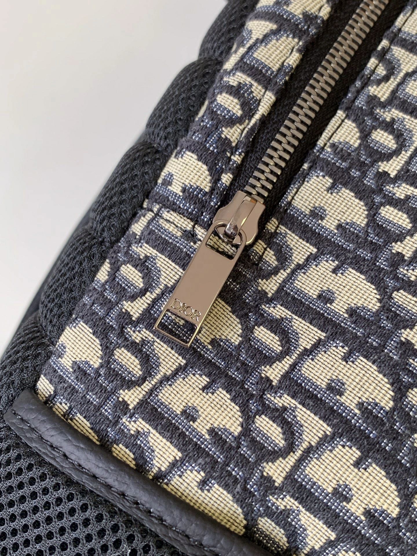 Mens Christian Dior Backpacks Affordable 92083