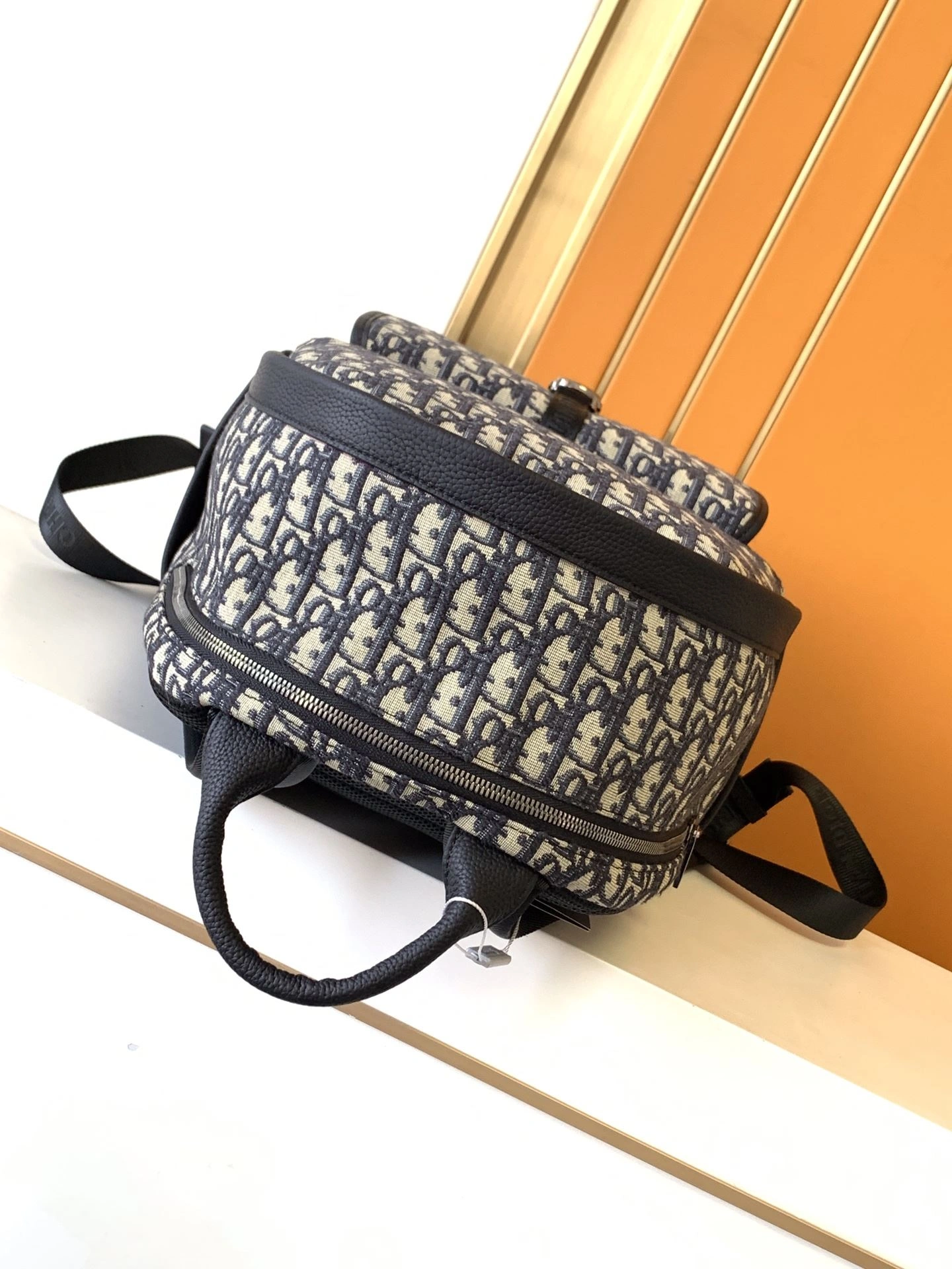 Mens Christian Dior Backpacks Affordable 92083