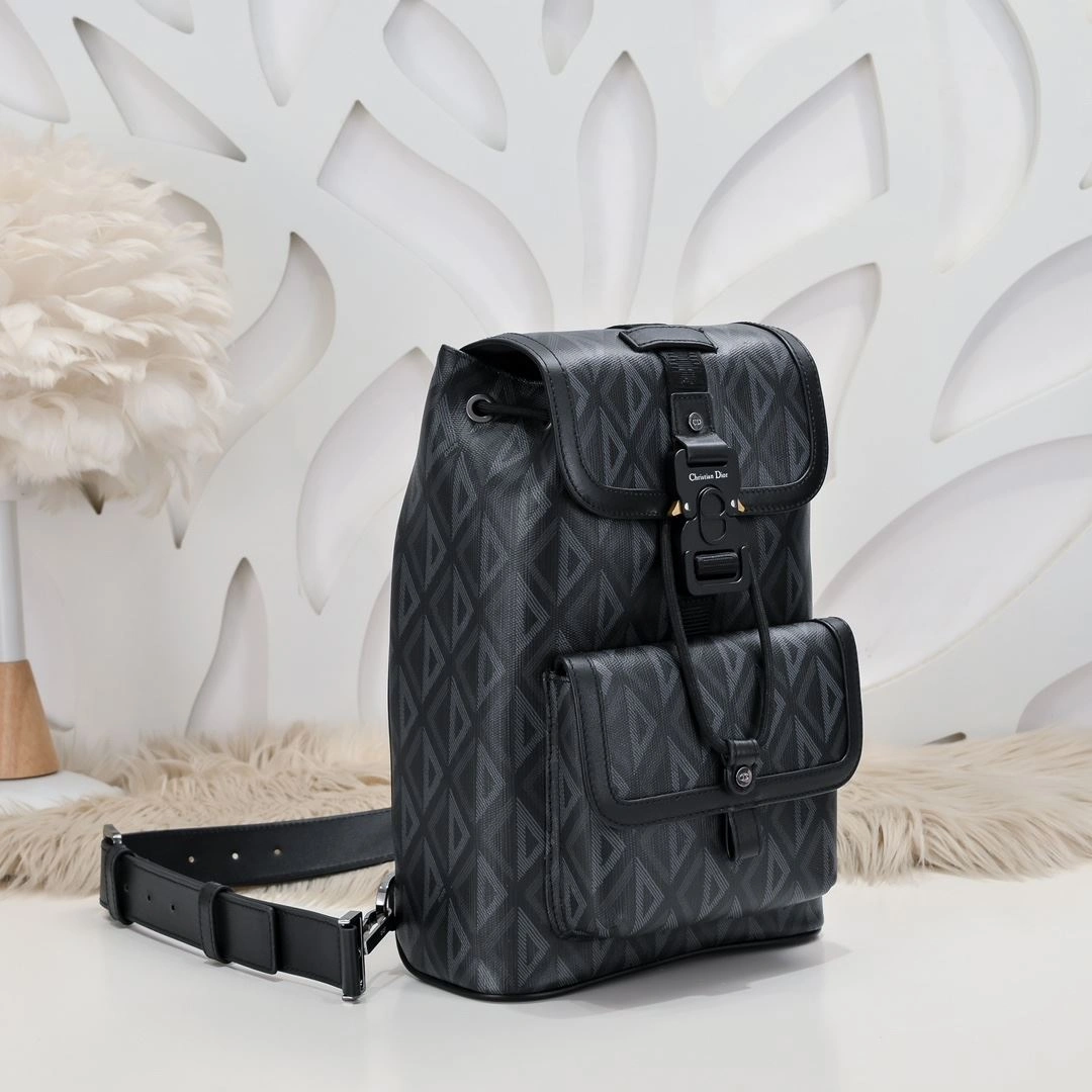 Trendy Mens Christian Dior Waist Chest Packs 90930