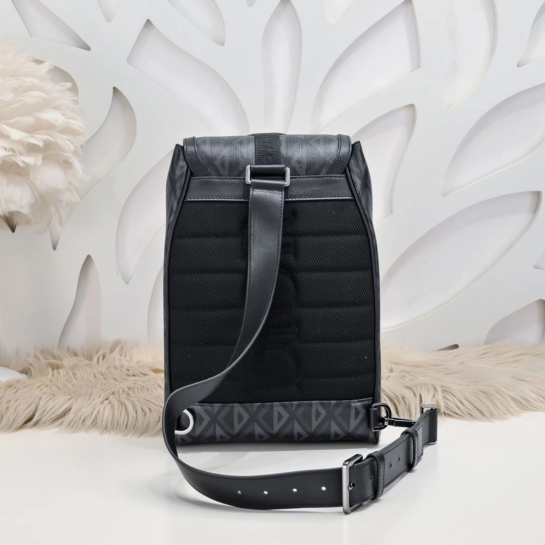 Trendy Mens Christian Dior Waist Chest Packs 90930