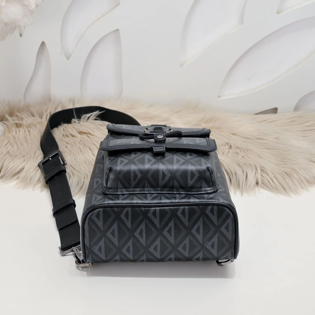 Trendy Mens Christian Dior Waist Chest Packs 90930