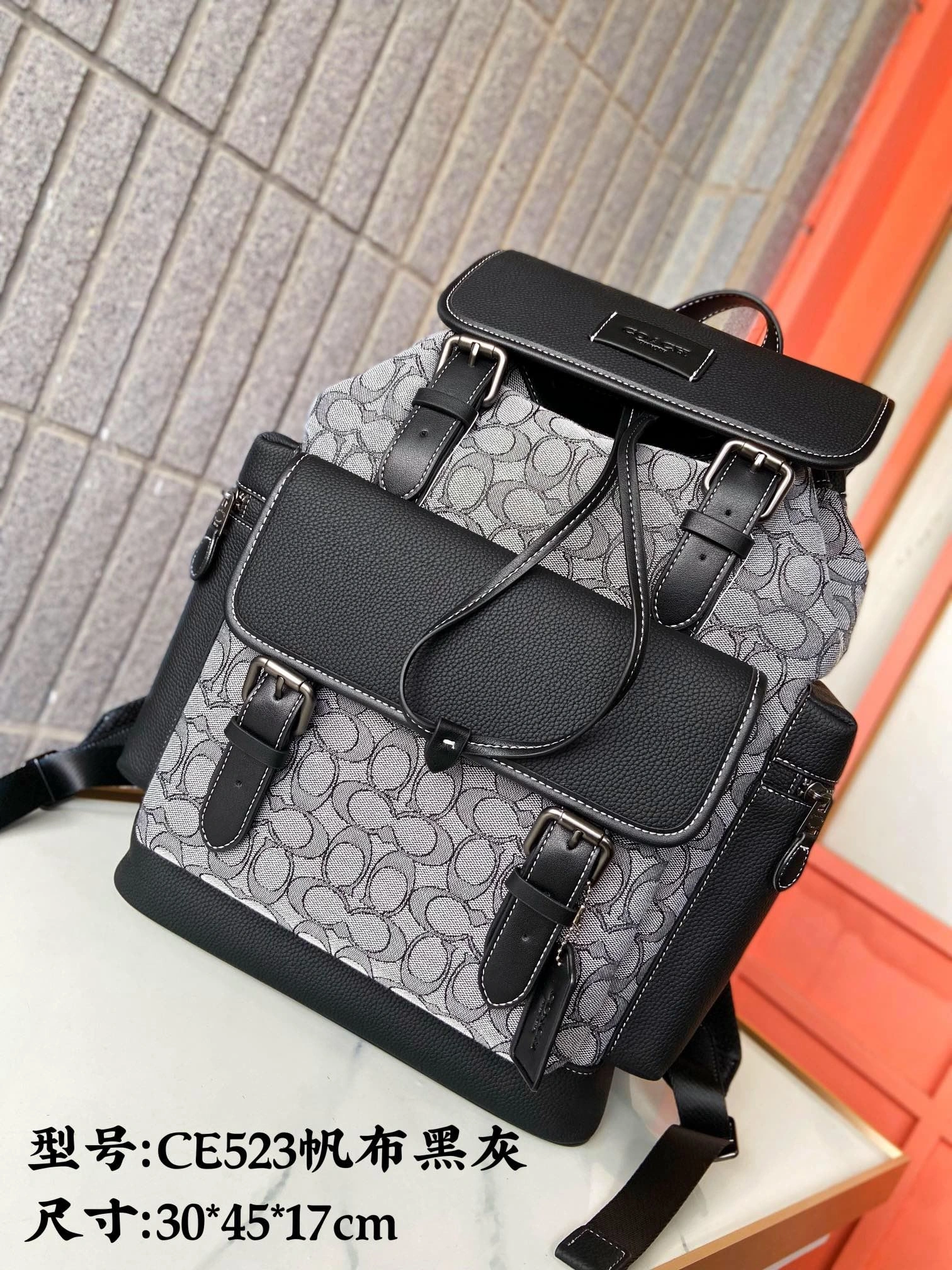 GoAnywhere Mens Coach Backpacks 93168