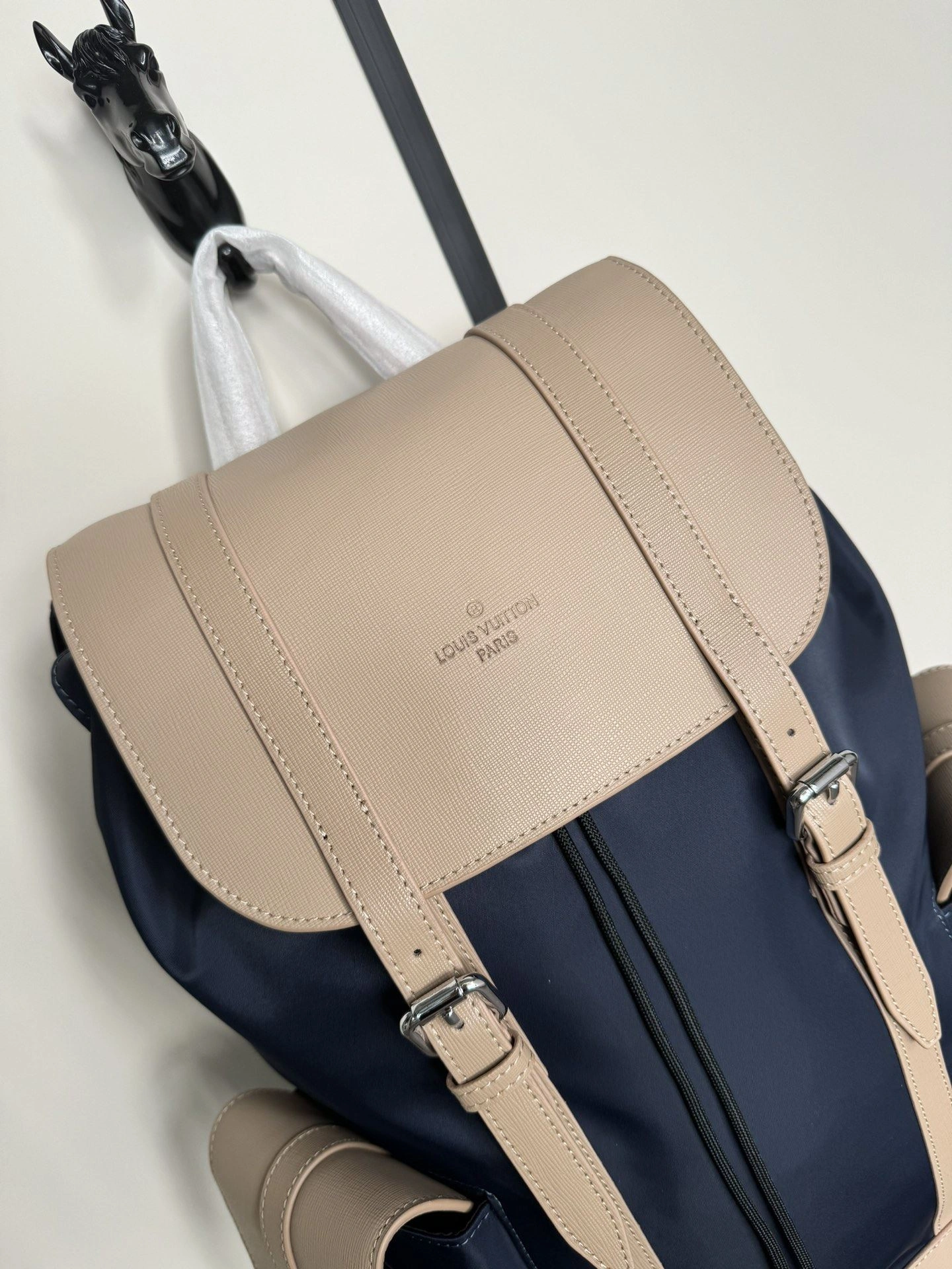 Fashionable Mens Louis Vuitton Backpacks 92831