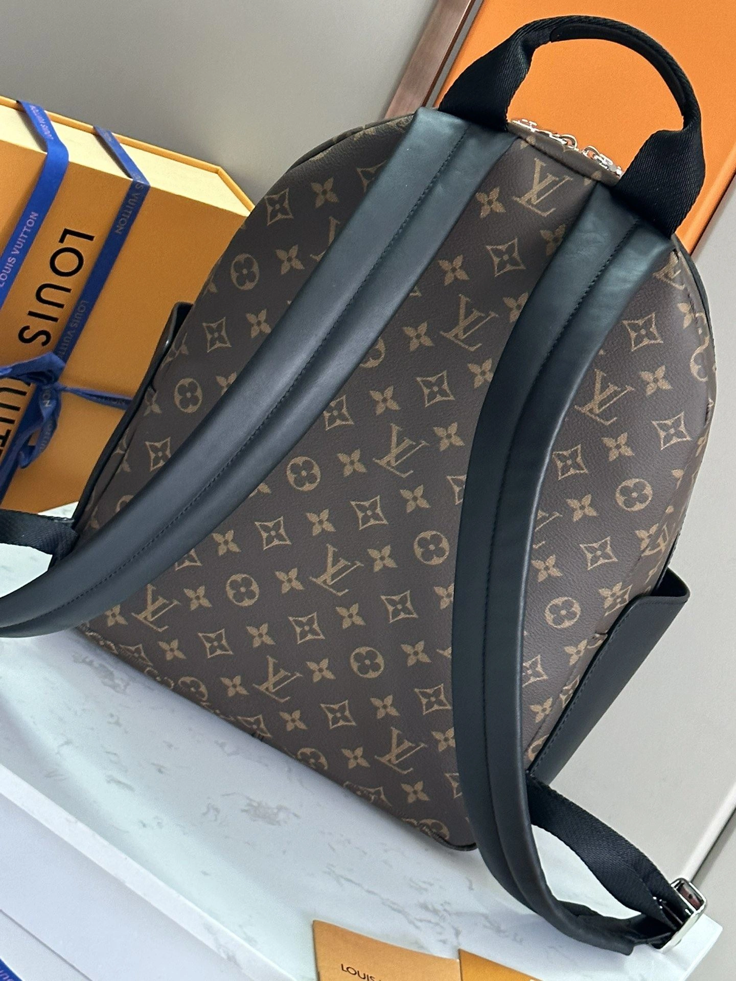 Mens Louis Vuitton Backpacks Timeless 91872
