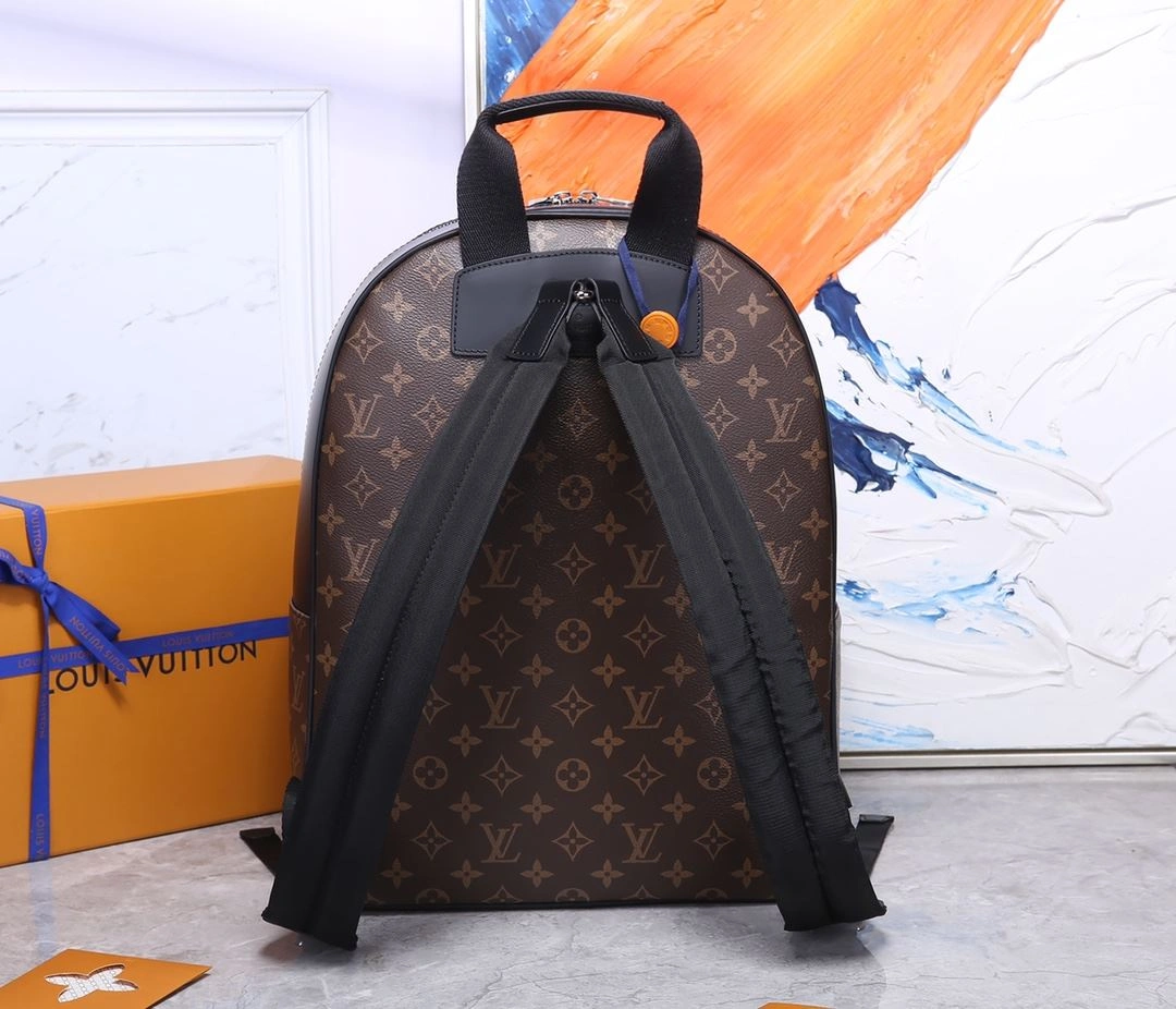 Mens Louis Vuitton Backpacks Unique 91848