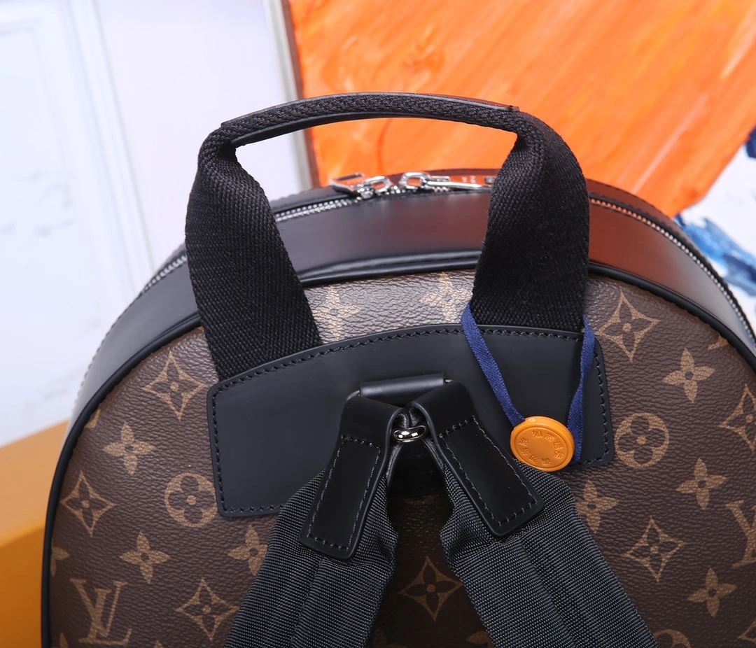 Mens Louis Vuitton Backpacks Unique 91848