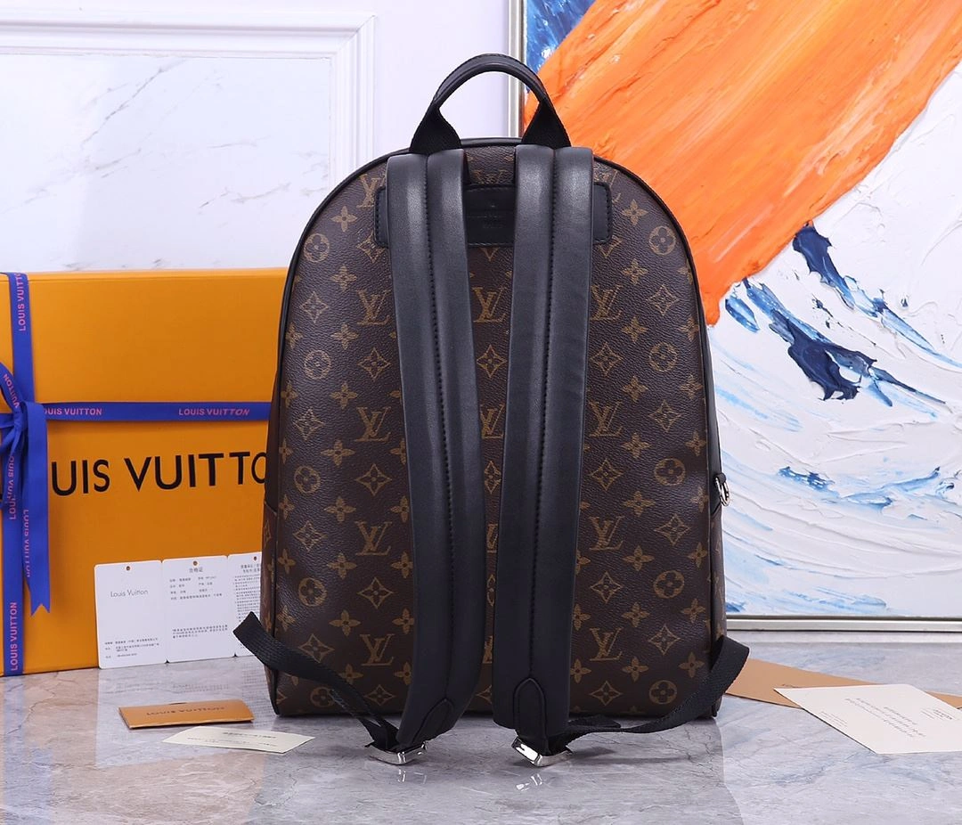 EasyCare Mens Louis Vuitton Backpacks 91777