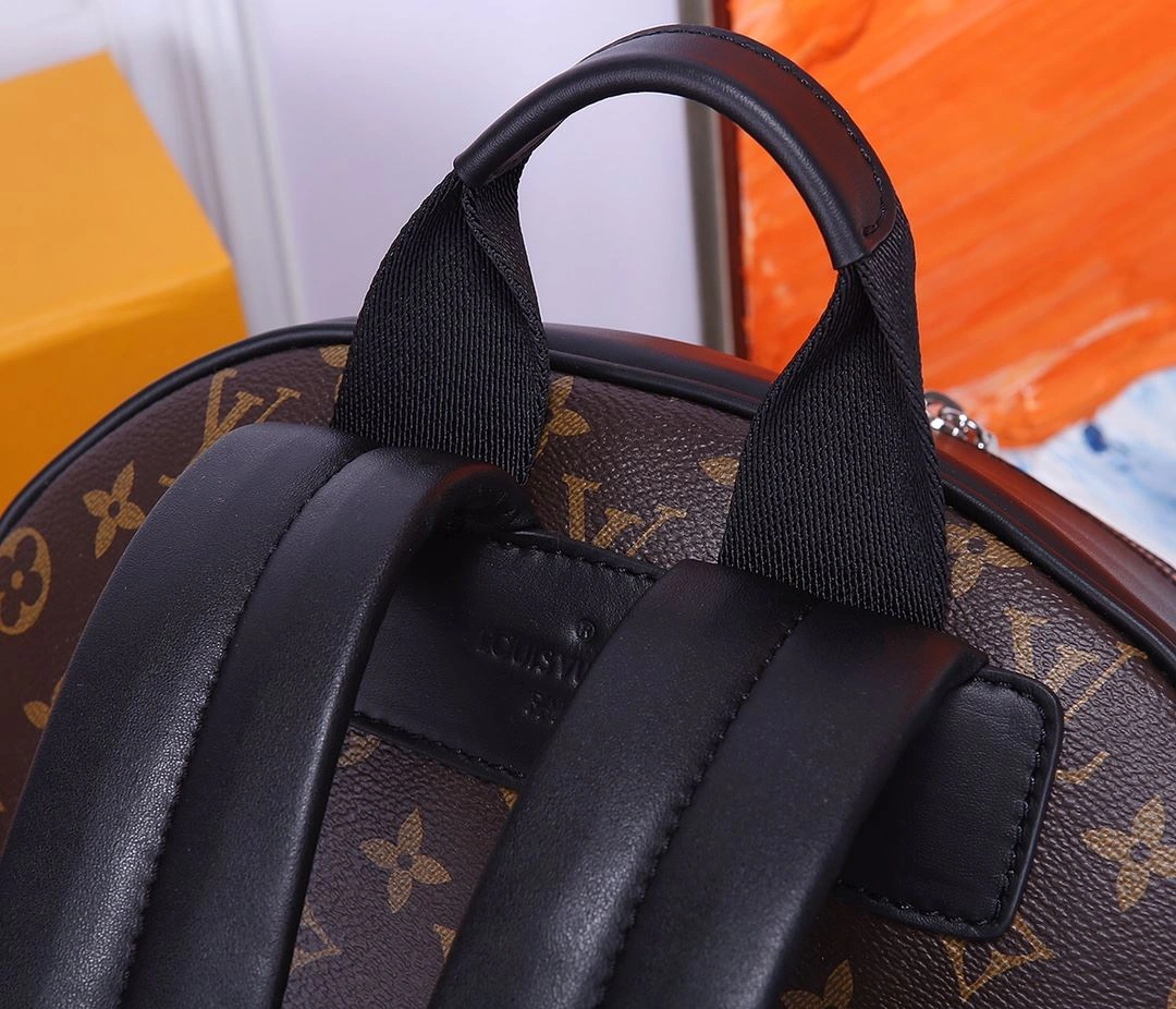 EasyCare Mens Louis Vuitton Backpacks 91777