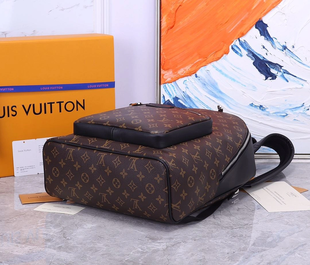 EasyCare Mens Louis Vuitton Backpacks 91777