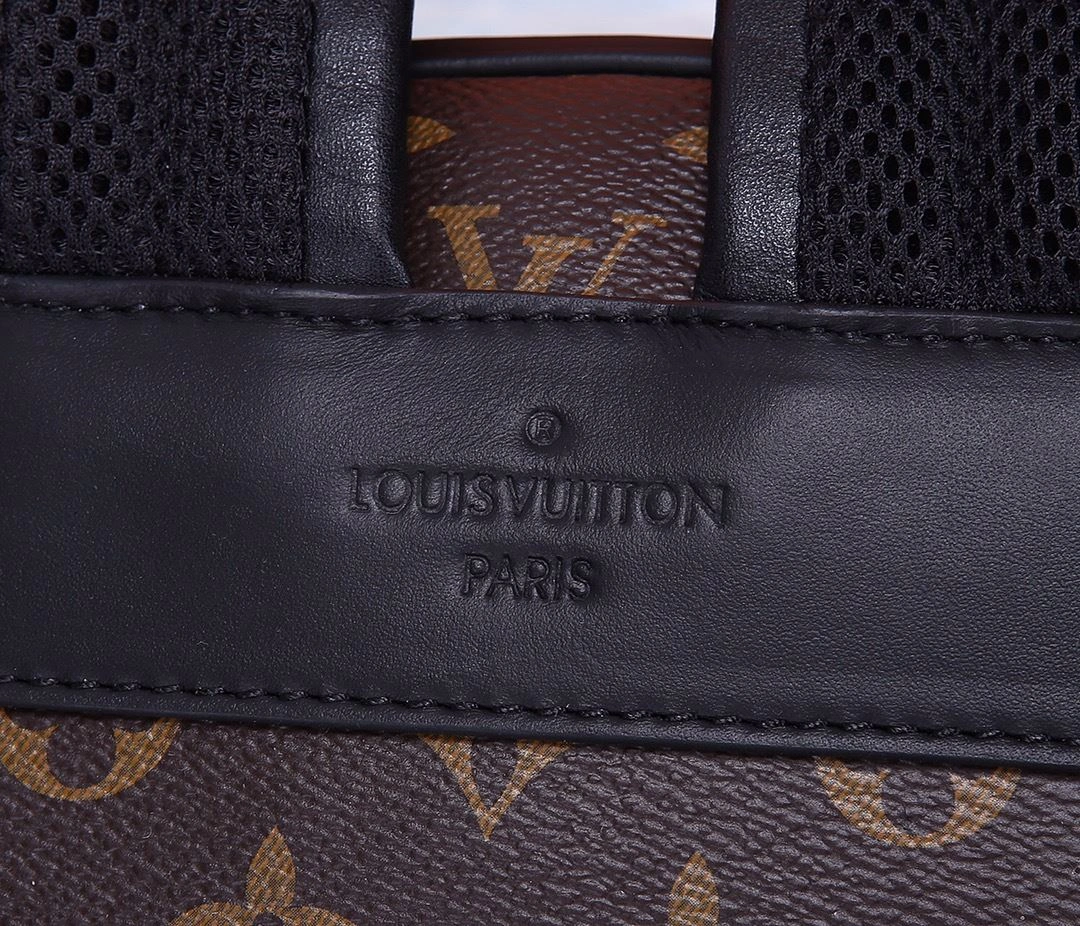 EasyCare Mens Louis Vuitton Backpacks 91777