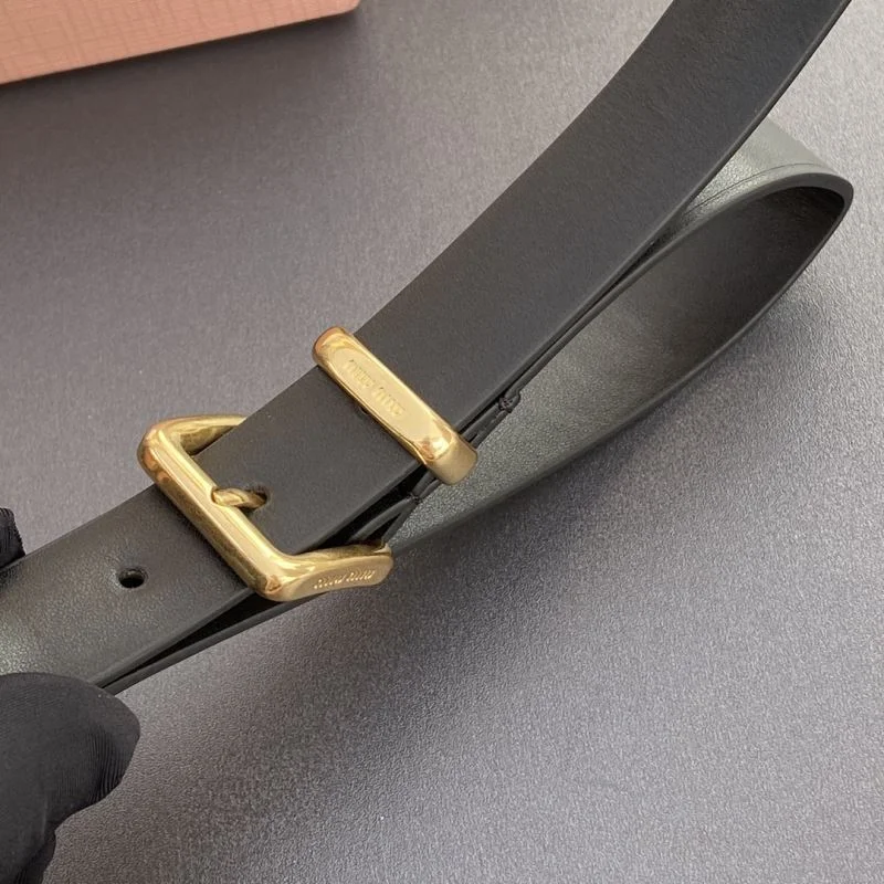 Sleek Miu Miu Accessories 56094