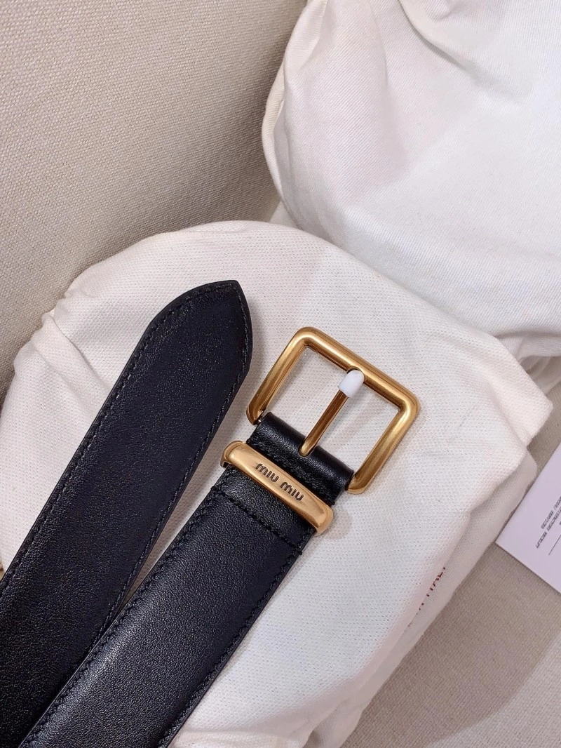 Colorful Miu Miu Belts 302353