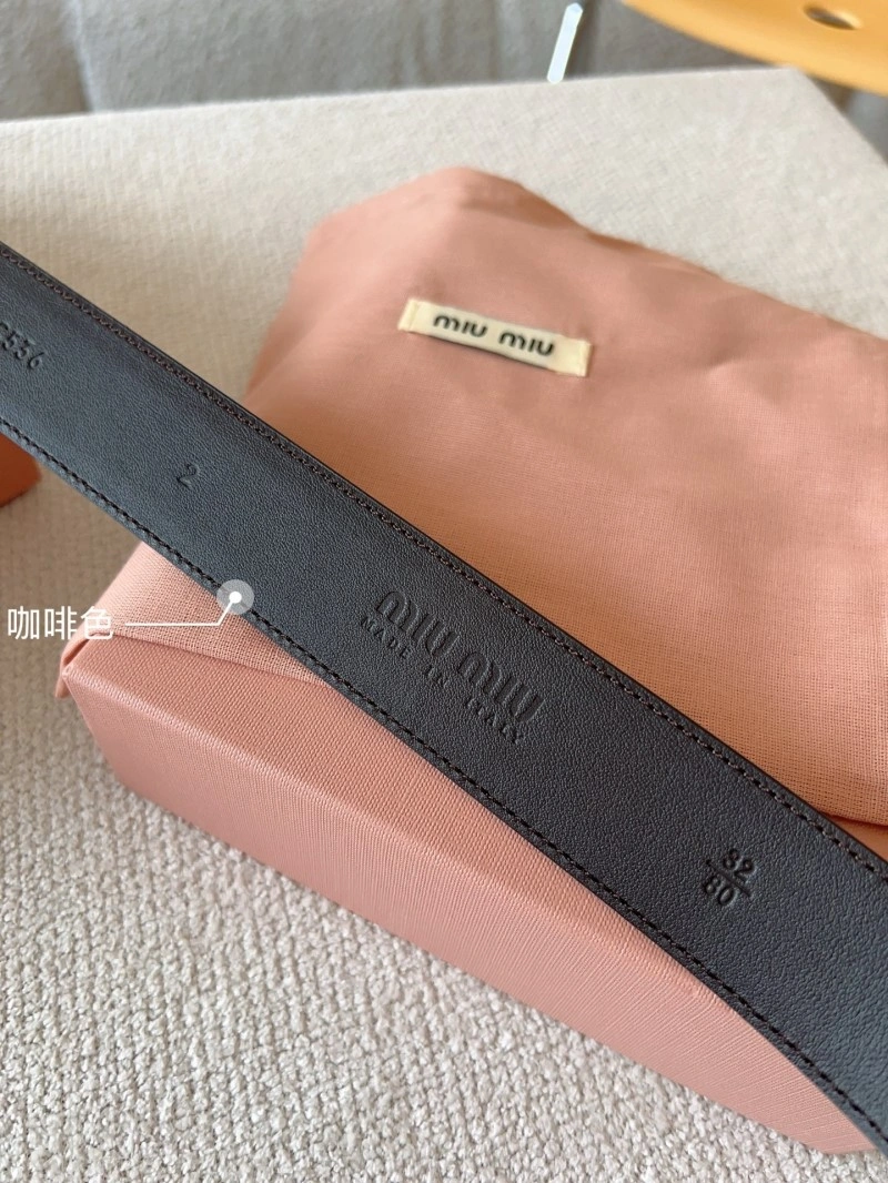 Colorful Miu Miu Belts 302295
